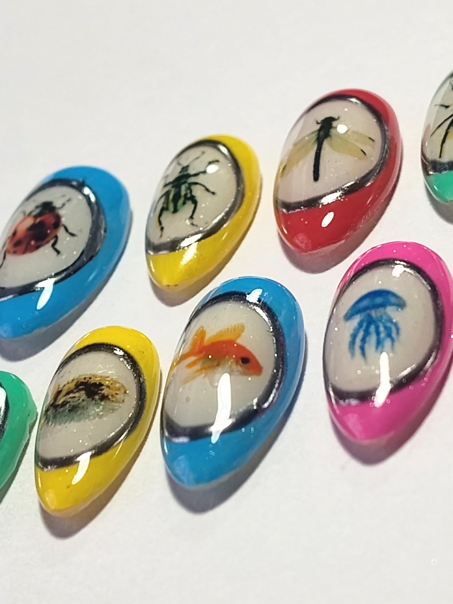 "Bugs & Fishies"  Press Ons